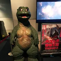 スカイガーデンの写真・動画_image_92045
