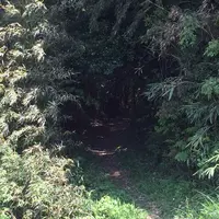特牛駅の写真・動画_image_92057