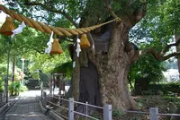 山王神社の写真・動画_image_92228