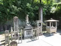 飯盛山の写真・動画_image_92307