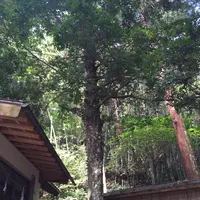多鳩神社の写真・動画_image_92385