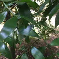 多鳩神社の写真・動画_image_92386