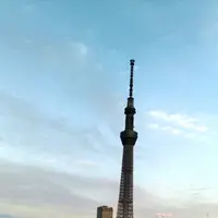 隅田川の写真・動画_image_92501