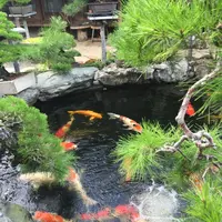 春花園の写真・動画_image_92564