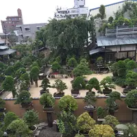春花園の写真・動画_image_92565