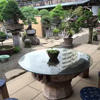 春花園の写真・動画_image_92566