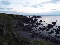 入道崎の写真・動画_image_92652