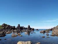 入道崎の写真・動画_image_92658