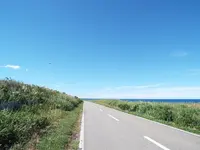 入道崎の写真・動画_image_92659