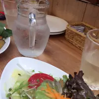 もりのたねの写真・動画_image_92770