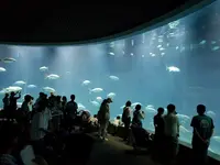葛西臨海水族園の写真・動画_image_92786