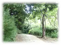 鎌倉中央公園の写真・動画_image_92974