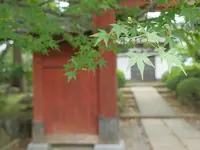 豪徳寺の写真・動画_image_92976