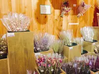 ファーム富田の写真・動画_image_93057