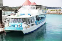 ルネッサンス リゾート オキナワの写真・動画_image_93087