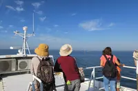 佐久島行船のりばの写真・動画_image_93204