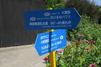 佐久島観光協会の写真・動画_image_93208