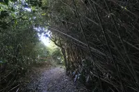 佐久島弁財天の写真・動画_image_93213