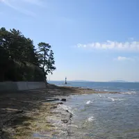 佐久島海釣りセンターの写真・動画_image_93219