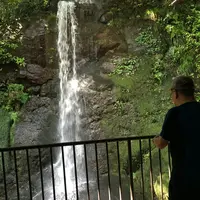 万葉公園の写真・動画_image_93280