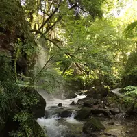 万葉公園の写真・動画_image_93281