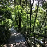 万葉公園の写真・動画_image_93283