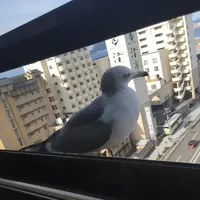 湯の川温泉の写真・動画_image_93681