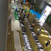 まいわい / 万祝（銚子漁協直営）の写真・動画_image_93817