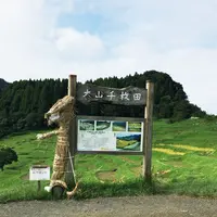 大山千枚田の写真・動画_image_93840