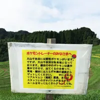 大山千枚田の写真・動画_image_93841