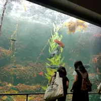 葛西臨海水族園の写真・動画_image_93943