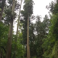 東慶寺の写真・動画_image_93999