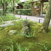 明月院（あじさい寺）の写真・動画_image_94022