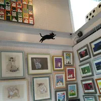 猫の箱の写真・動画_image_94029