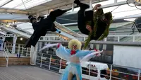 ミエレ （miele）の写真・動画_image_94062