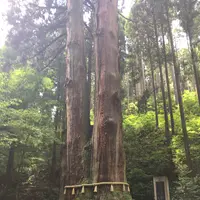 御岩神社の写真・動画_image_94116