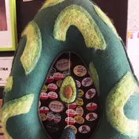 avocafeの写真・動画_image_94188