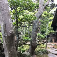 本間家旧本邸の写真・動画_image_94207