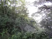 佐伯の写真・動画_image_94292