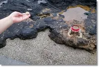 釜蓋神社の写真・動画_image_94332