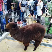 神戸どうぶつ王国の写真・動画_image_94359