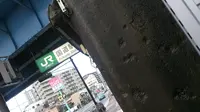 国道駅の写真・動画_image_94502