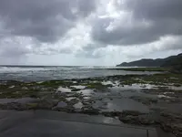 熱帯魚の家の写真・動画_image_94822
