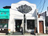 鎌倉ねこサロン KAMAKURA neco salonの写真・動画_image_94863