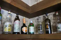 フンゴの写真・動画_image_94967