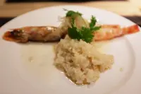 ミモザ （MIMOSA）の写真・動画_image_95179