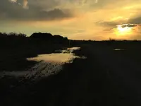 江川海岸の写真・動画_image_95182