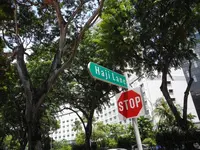 THE SINGAPURA88の写真・動画_image_95211