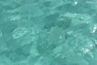 ハテの浜の写真・動画_image_95382