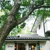 お鷹の道・真姿の池湧水群の写真・動画_image_95385